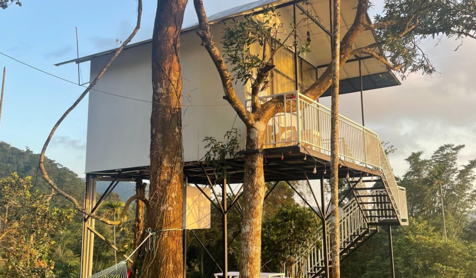 WhatsApp Image 2024-12-14 at 1.57.34 PM