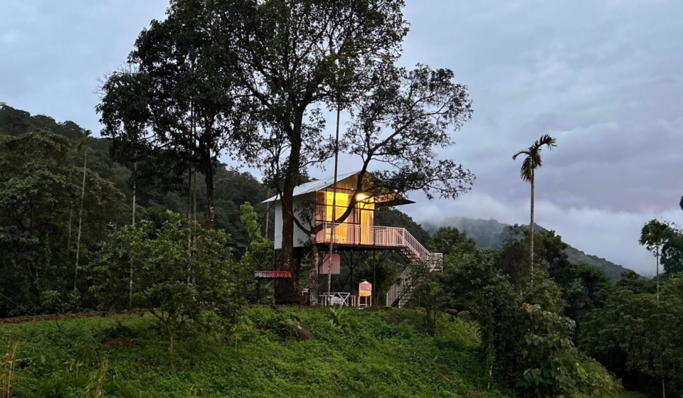 WhatsApp Image 2024-12-14 at 1.57.38 PM